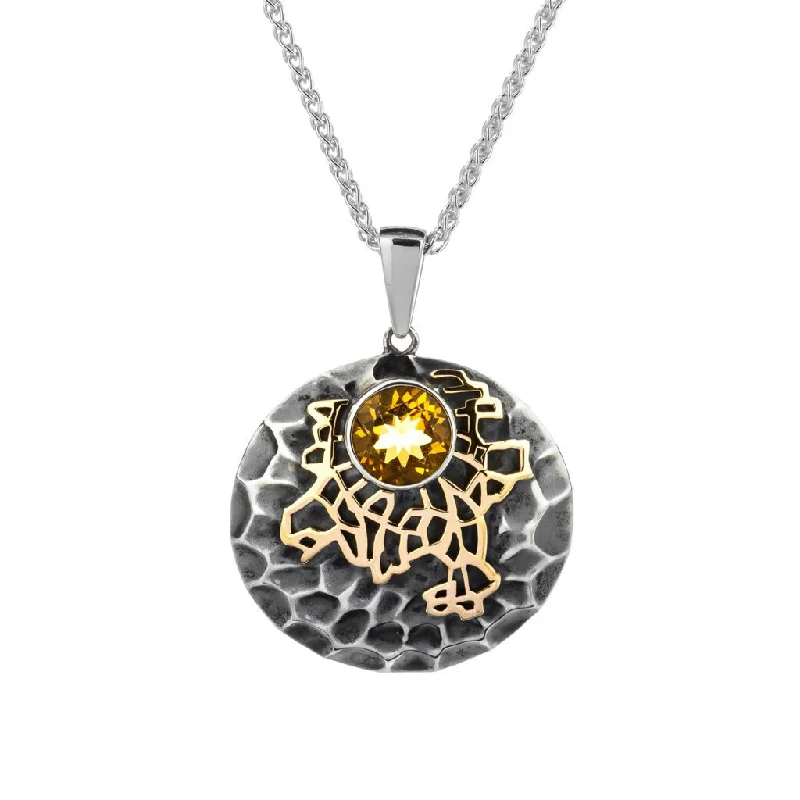 Flecked chain necklace-Silver and 10k Gold 'Earth' Element Pendant - Citrine