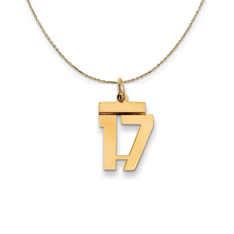 14k Yellow Gold, Athletic, Sm Polished Number 17 Necklace