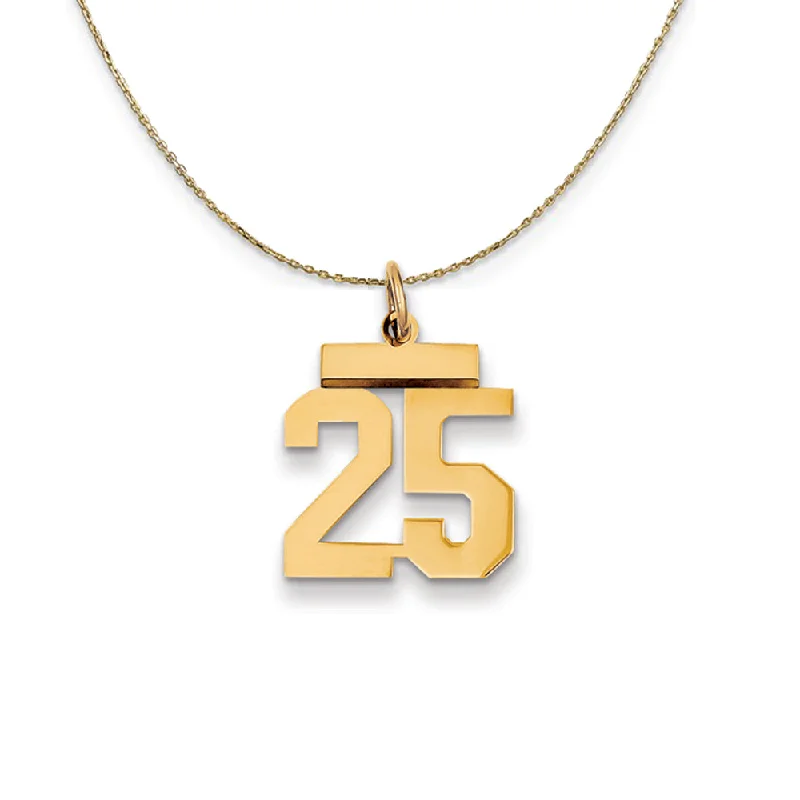 14k Yellow Gold, Athletic, Sm Polished Number 25 Necklace